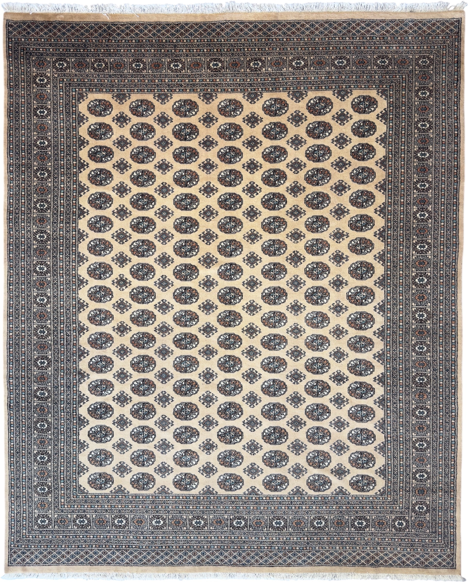 8542 - Bokhara Hand-Knotted Wool Rug